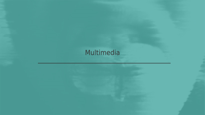 Multimedia